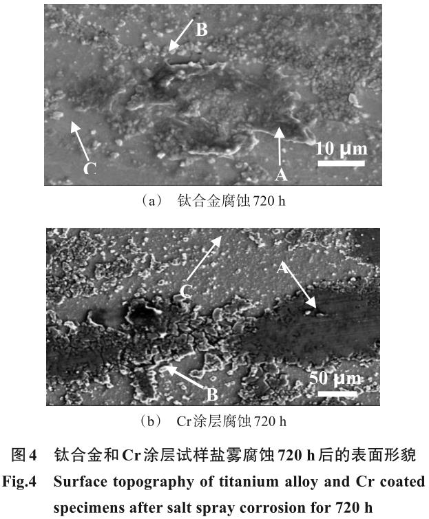 1721726176688663.jpg 360截圖16741211524774.jpg