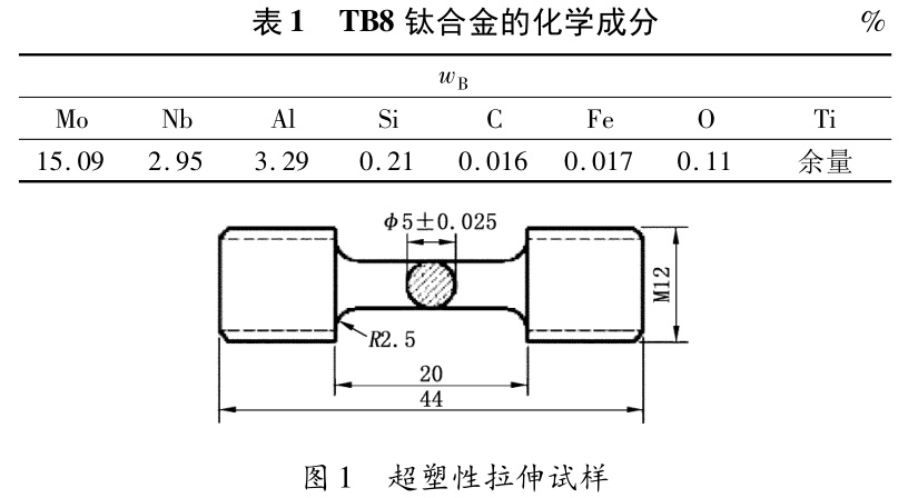 1730257565343772.jpg b1-t1.jpg